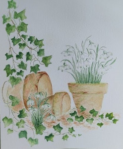 Janet R, Snowdrops, watercolour.jpg